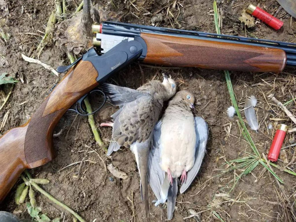Louisiana Dove hunting season begins Saturday